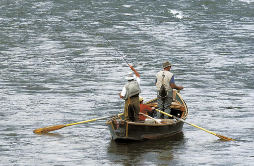 Yellowstone River fly-fishing